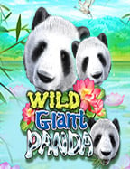 ตื่นเต้นกับโปรโมชั่นฝาก 50 รับ 100 ล่าสุด ที่ห้ามพลาด